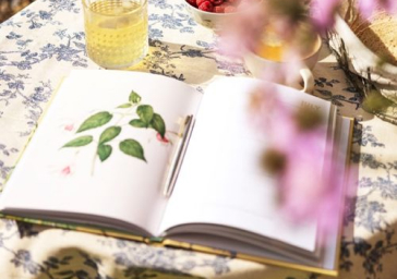 Frequently Asked Questions